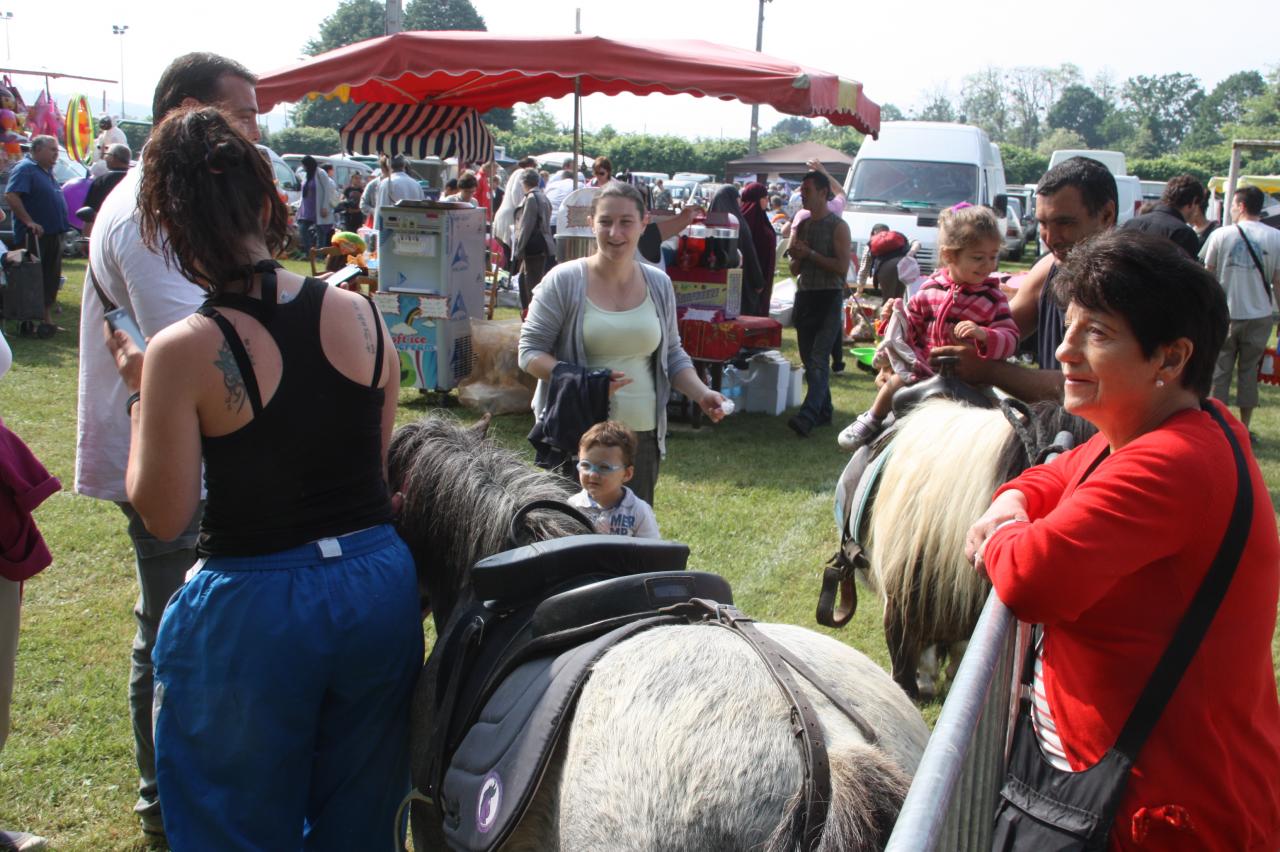 Promenade en poneys